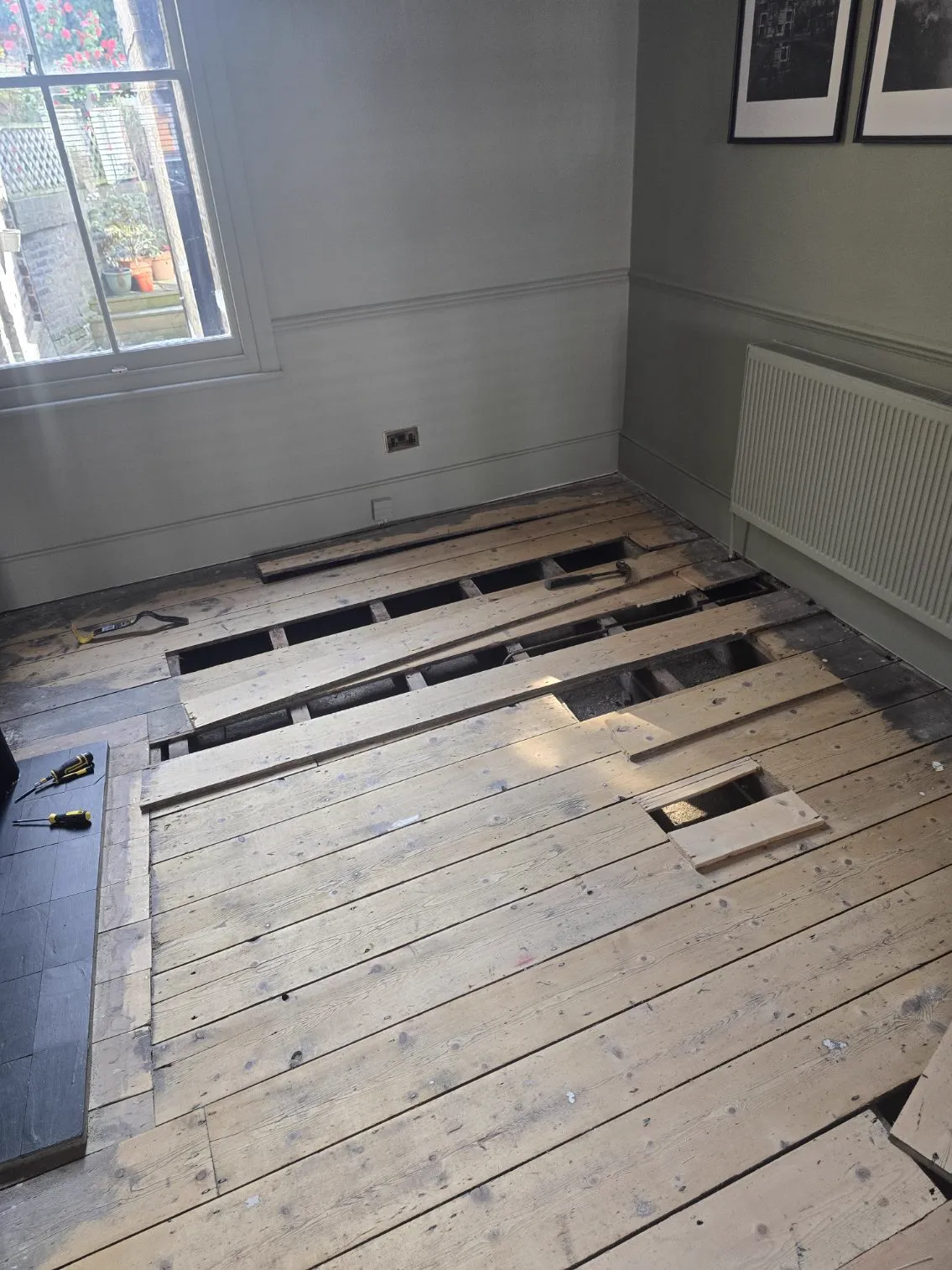 Damaged pine floorboards lifted for replacement with reclaimed boards, joists exposed